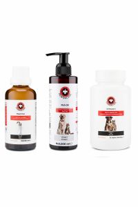 Bağışıklık Güçlendirme Seti Immune C & Fish Oil & B Plus 3'lü Set